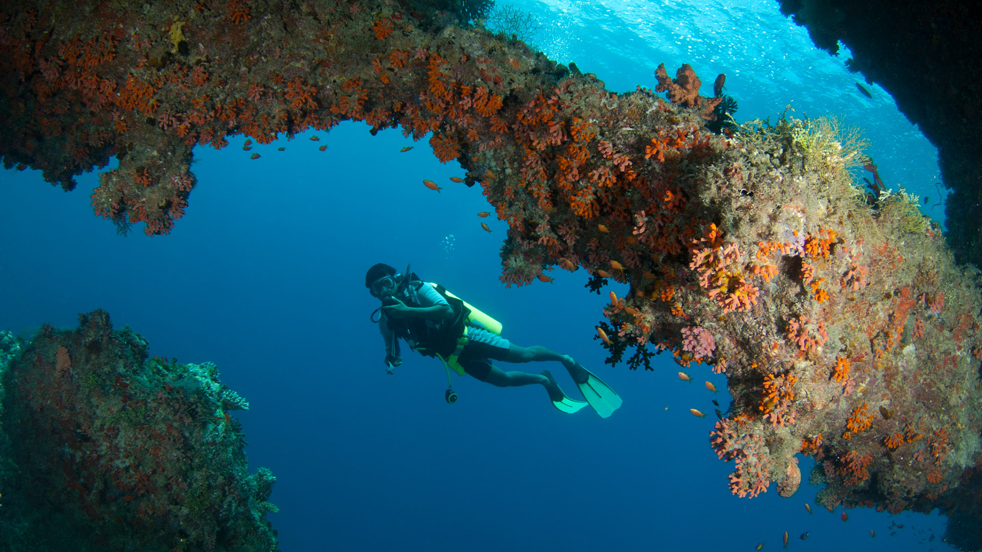 Dive Club Maldives Private Limited