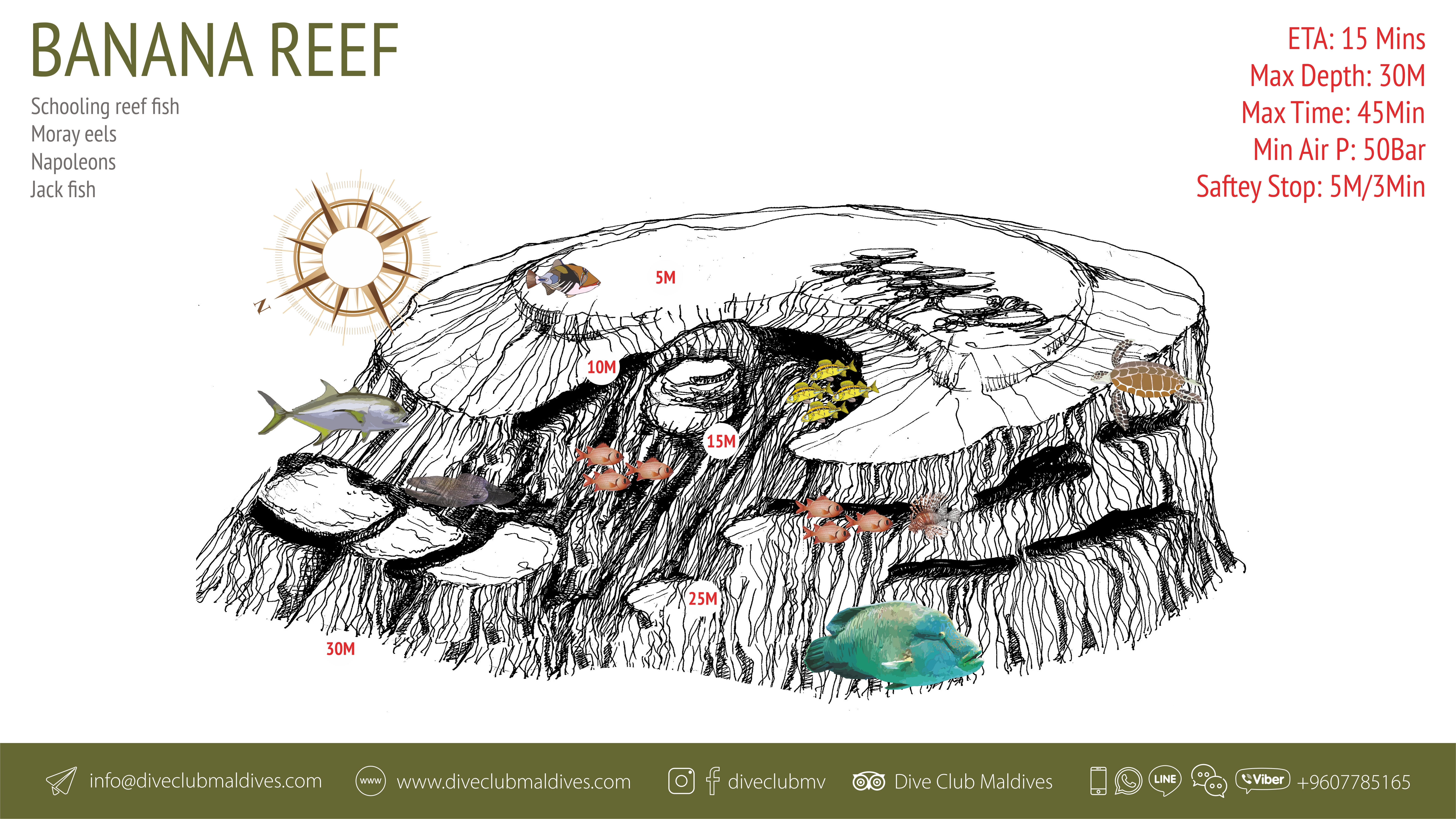 Banana Reef