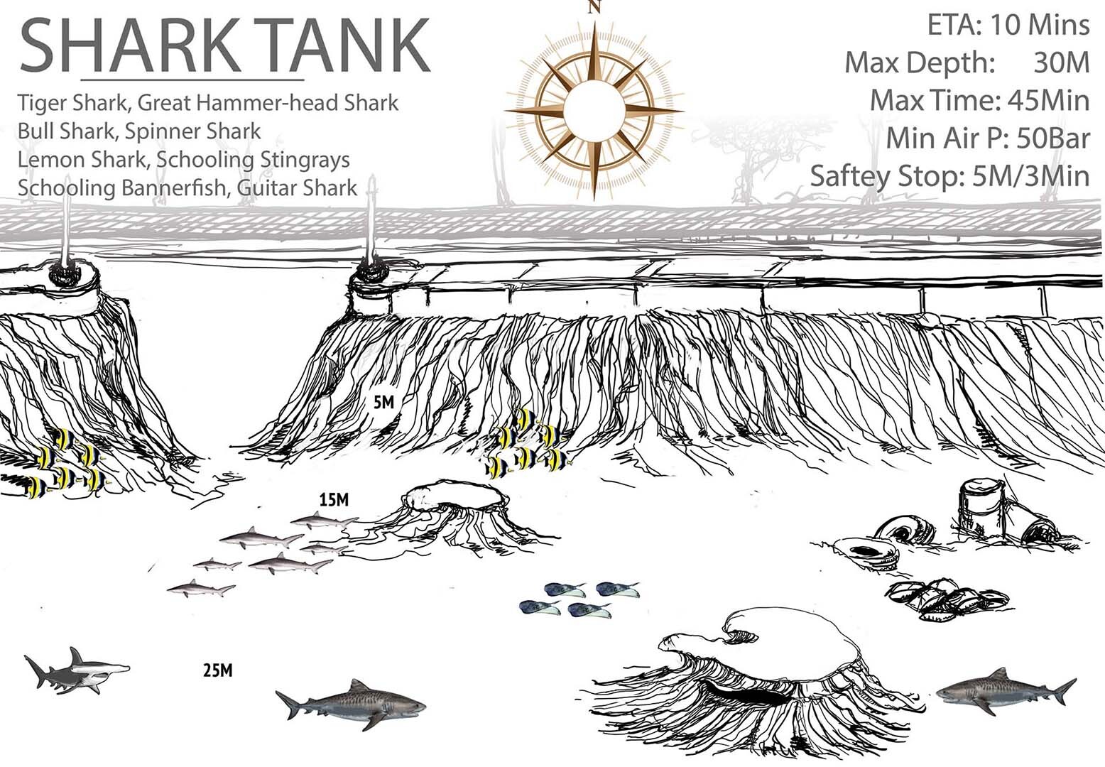 Shark Tank