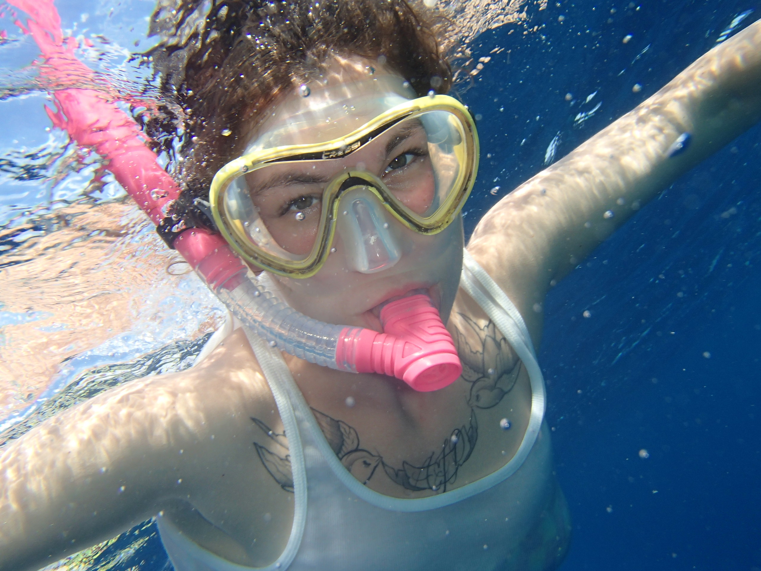 Snorkeling + Dolphin + Fishing & BBQ