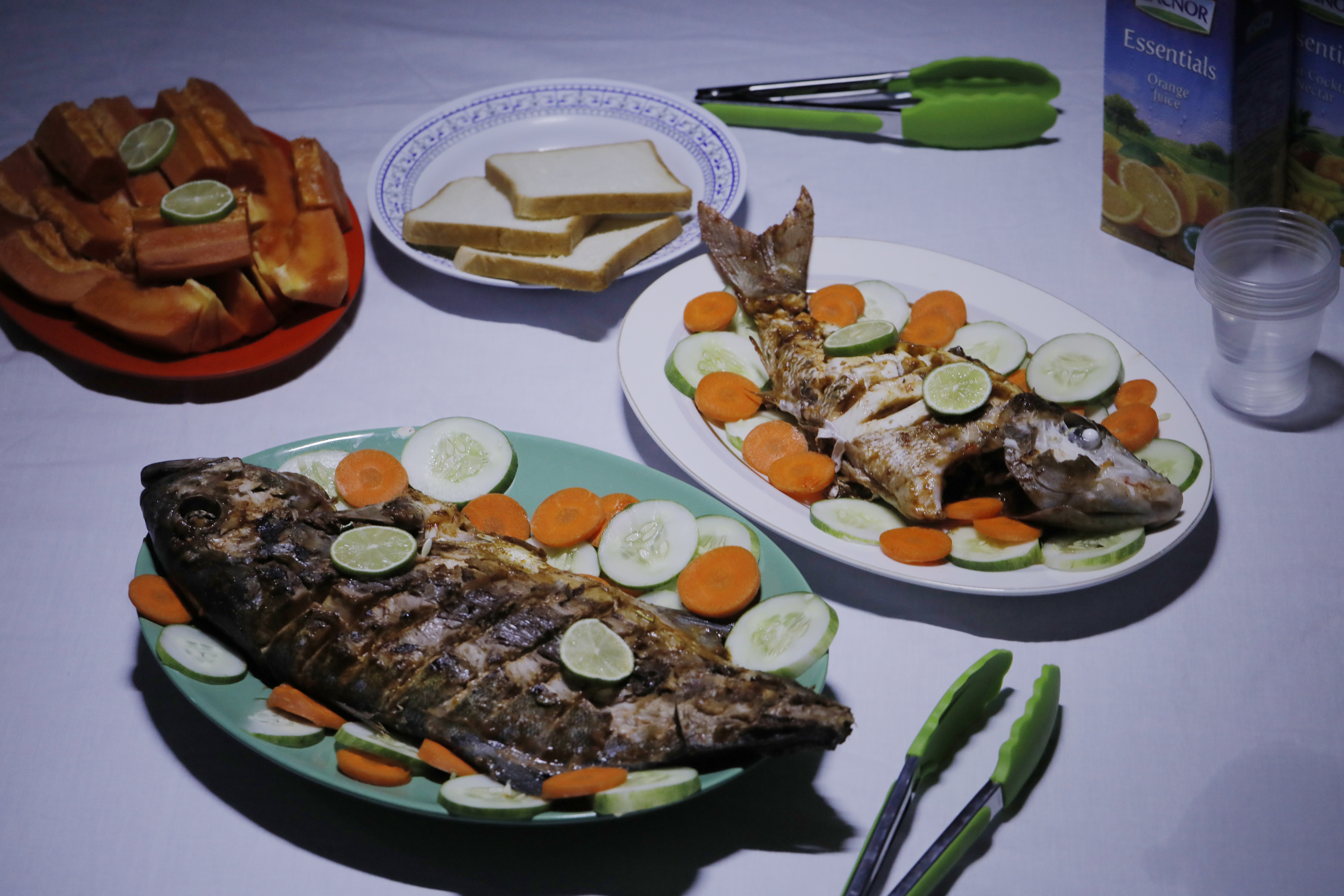 Fishing & BBQ Adventure (Day trips)
